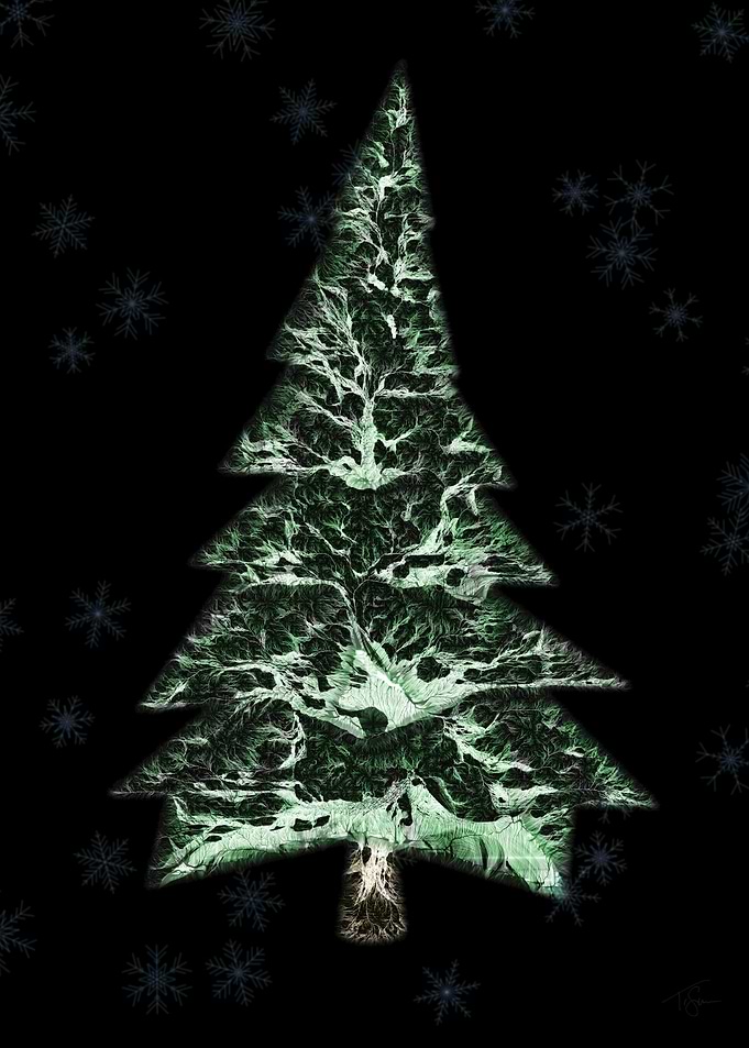 Winter Tree