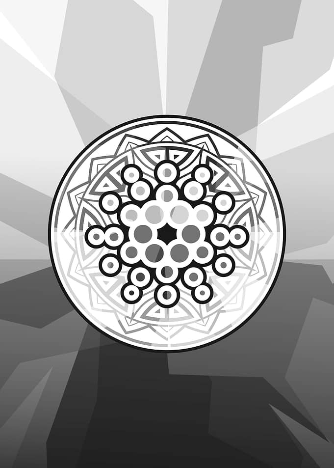 THE CARDANO