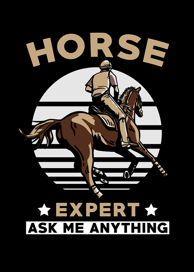 Horse Riding Gift