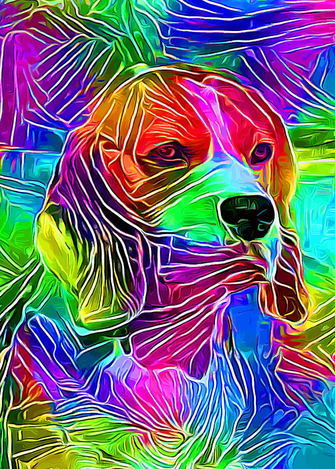 Beagle Colorful Lines
