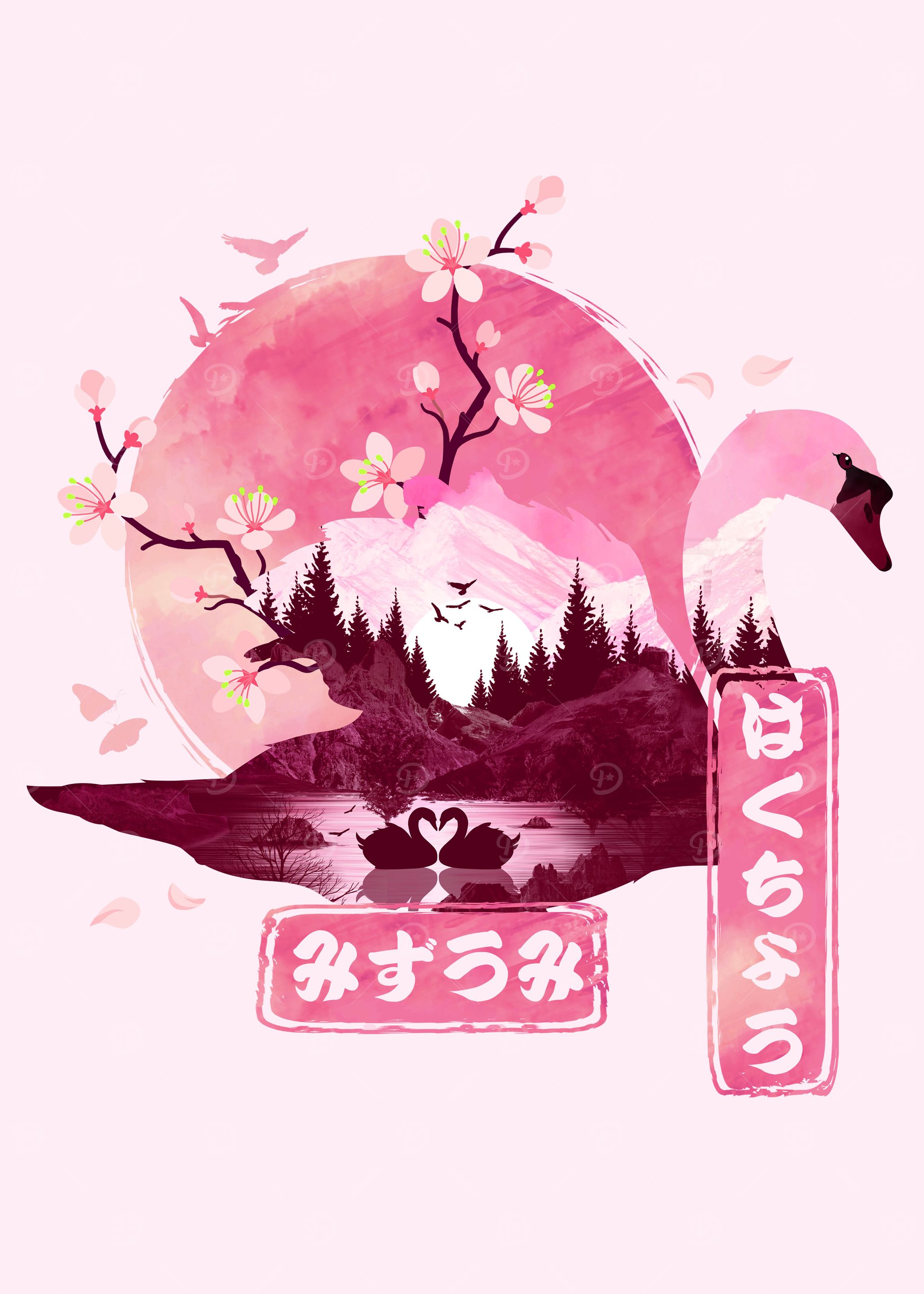A Pink Swan