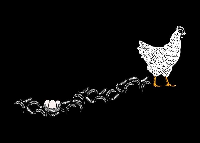 Chicken Hen German