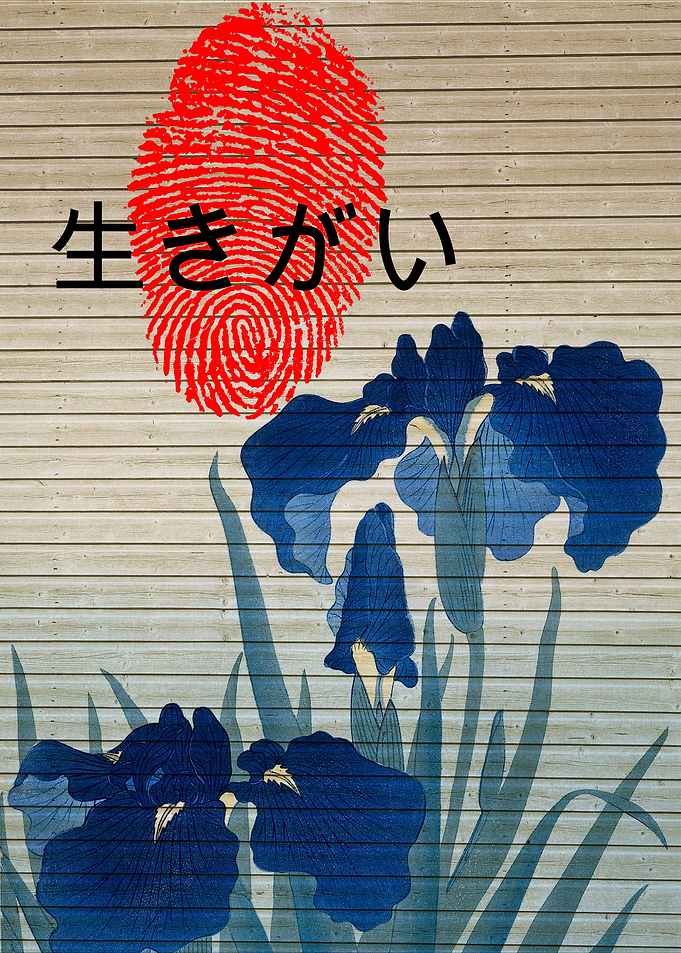 Ikigai Purpose of Being