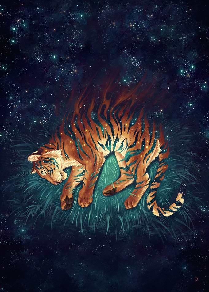 Dream of Stars