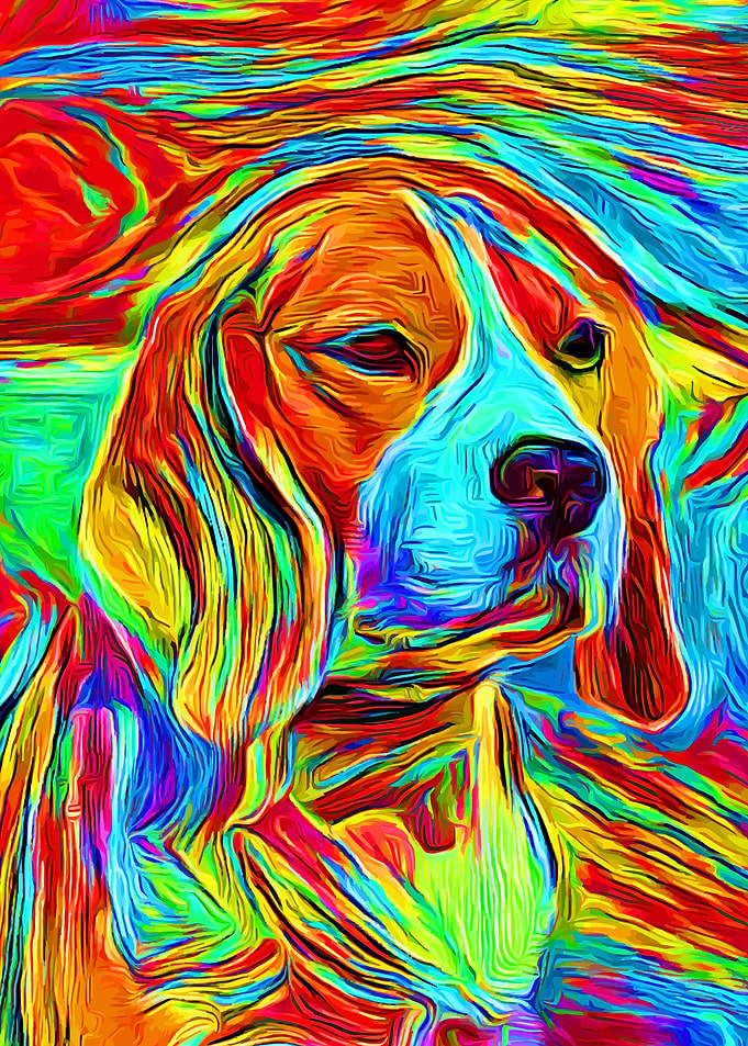 Beagle Colorful