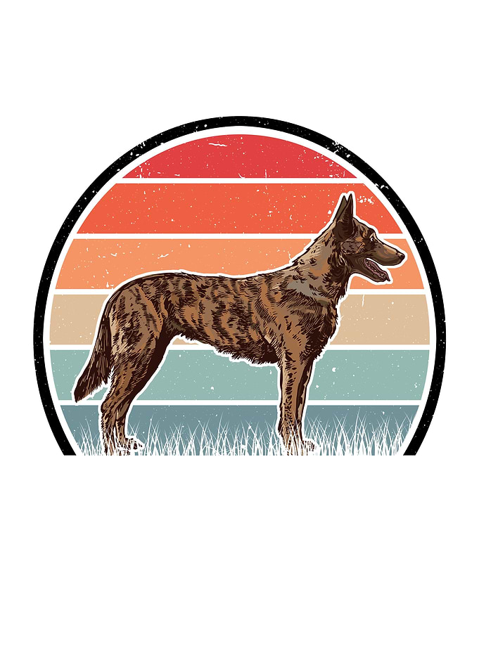 Hollandse Herder Retro