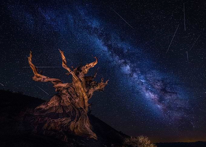 Shooting Stars Night