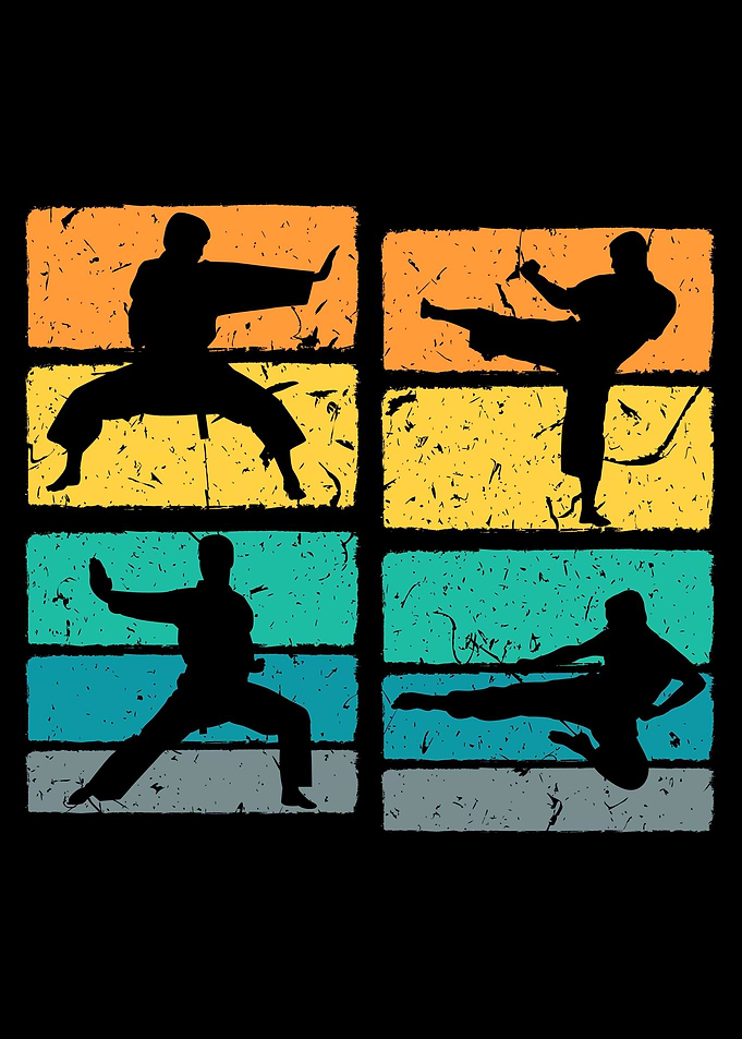 Retro Martial Arts Karate