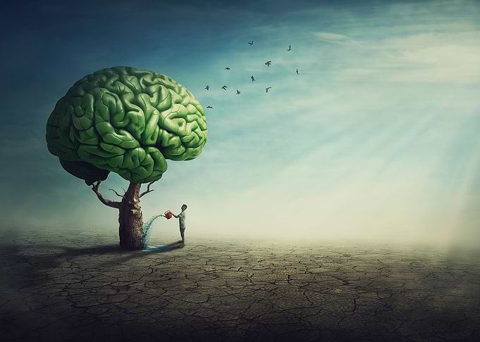 Surreal brain tree