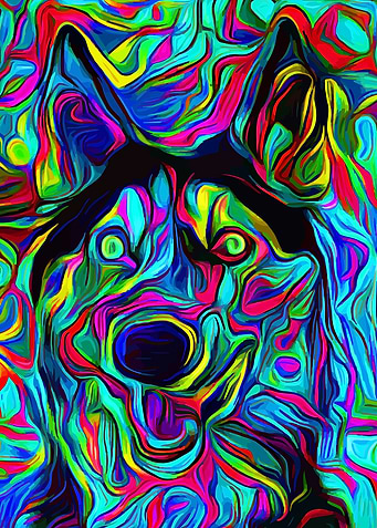 Husky Colorful 2