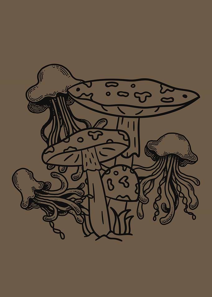 Cottagecore Mushroom Fungi