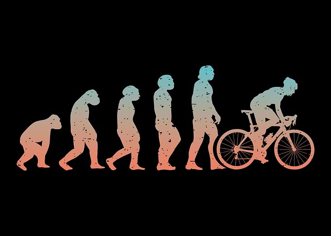 Cyclist Bicycle Cycling Mo