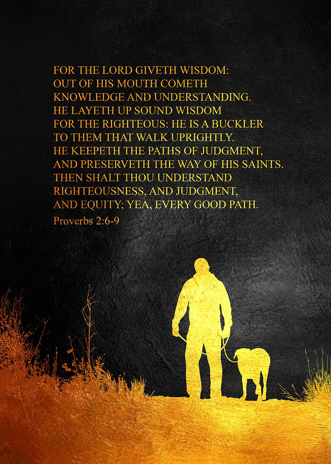 Proverbs 2 6 9