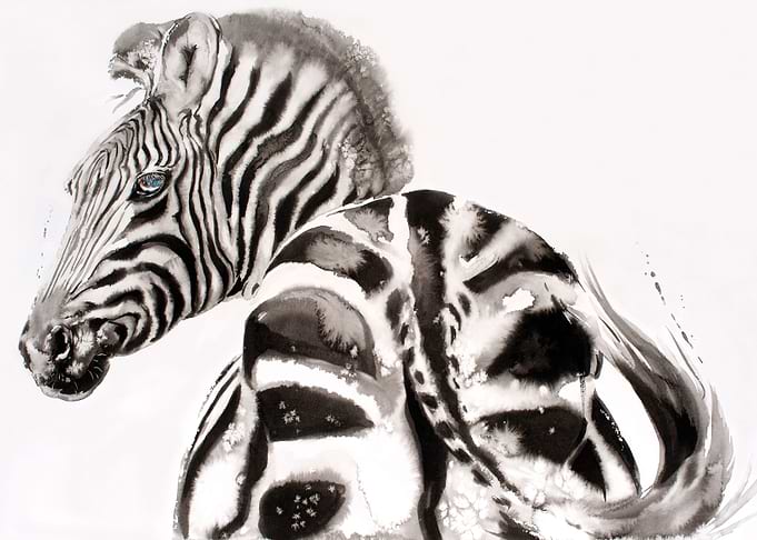 Dazzling Stripes