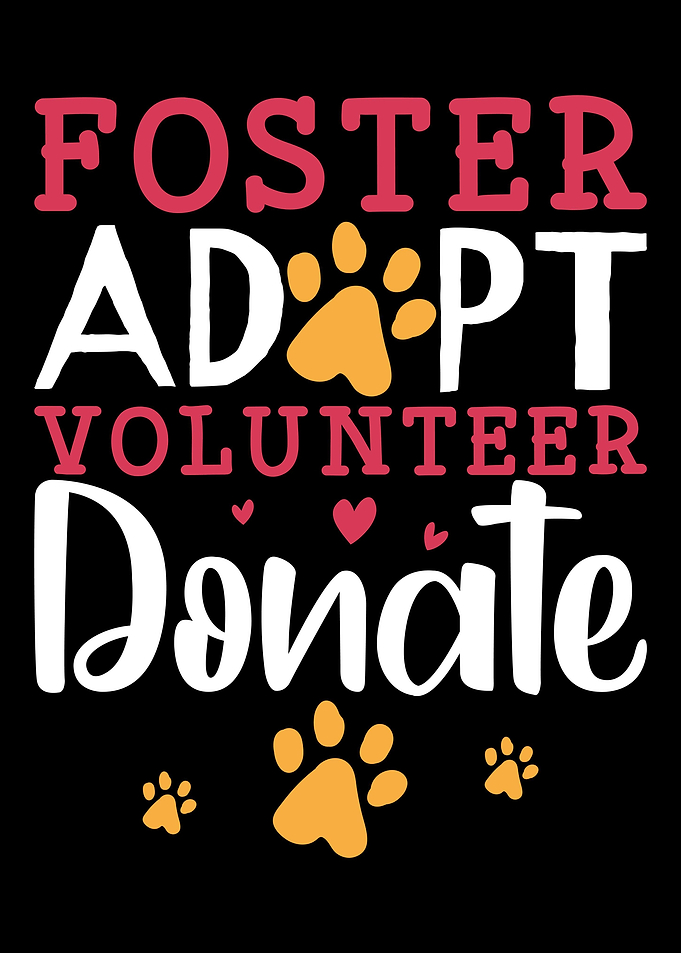 Animal Rescue Foster