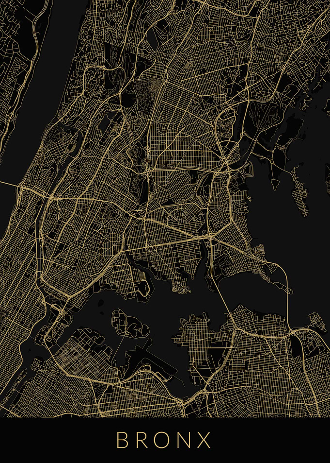 New York Bronx Map