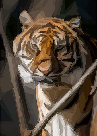 Wild Tiger Encounter