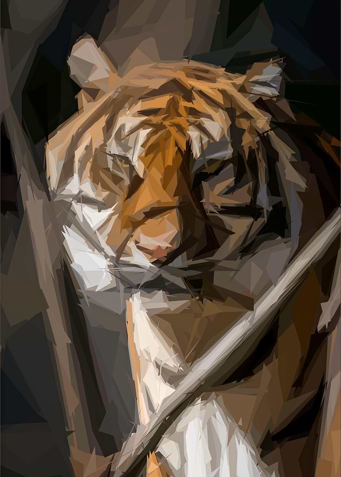 Wild Tiger Encounter
