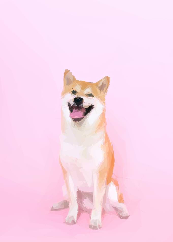 Pink Doge Boy