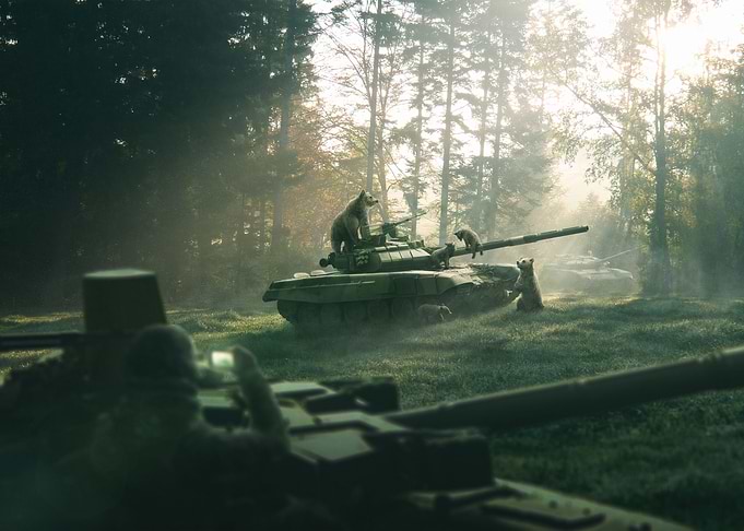 Morning in the forest