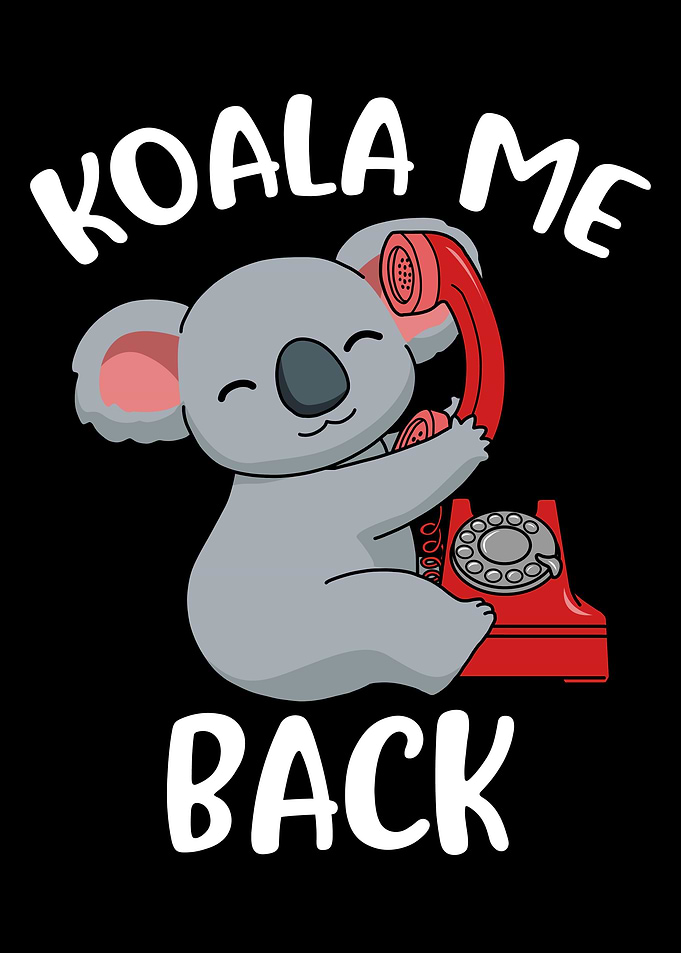 Koala Me Back