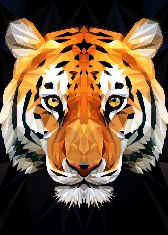 Tiger Low Poly