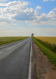 The road in Altai