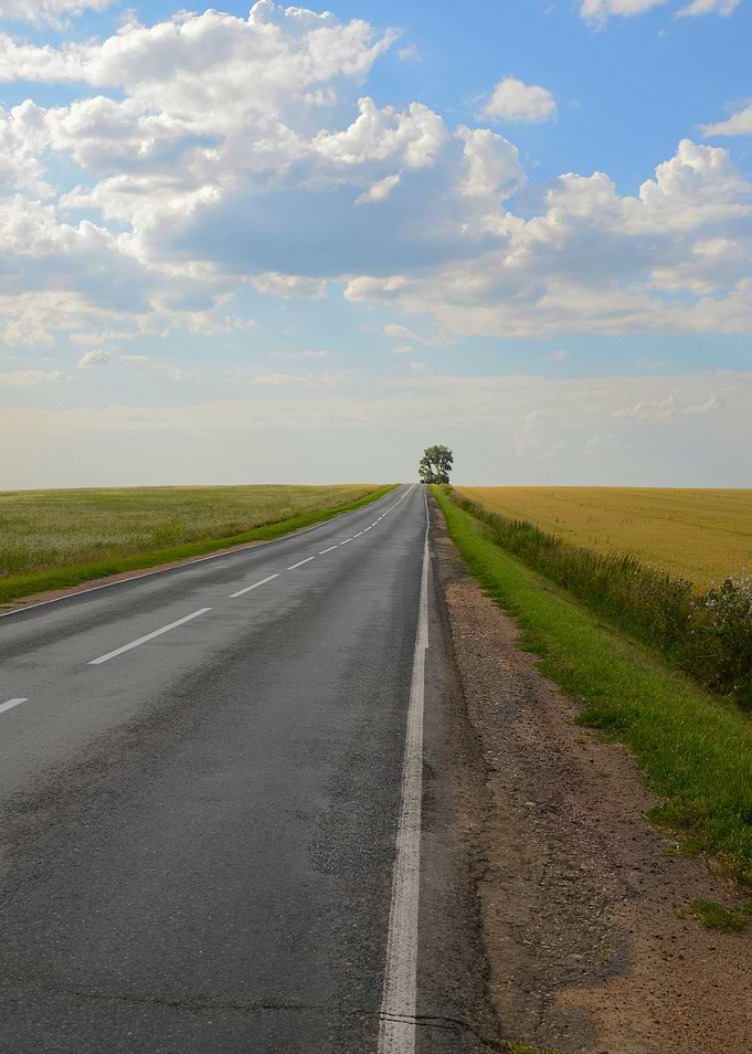 The road in Altai
