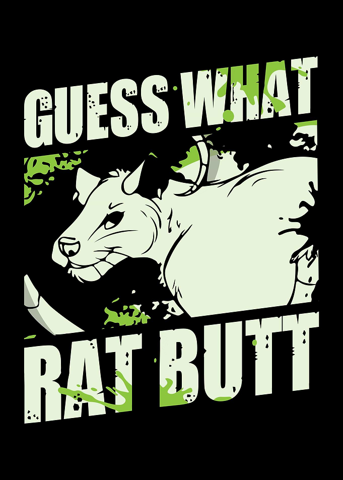 Rat Rodent Rats
