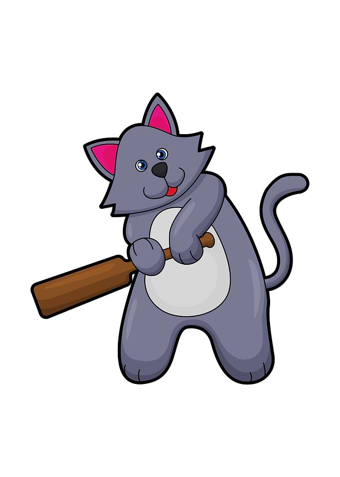 Cat Cricket Sports