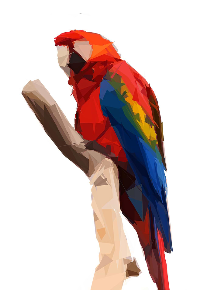Geometric Tropical Macaw