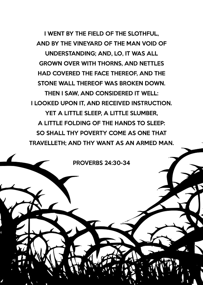 Proverbs 24 30 34