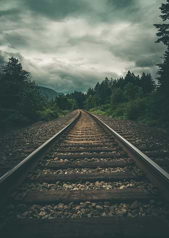 Moody forest train tracks