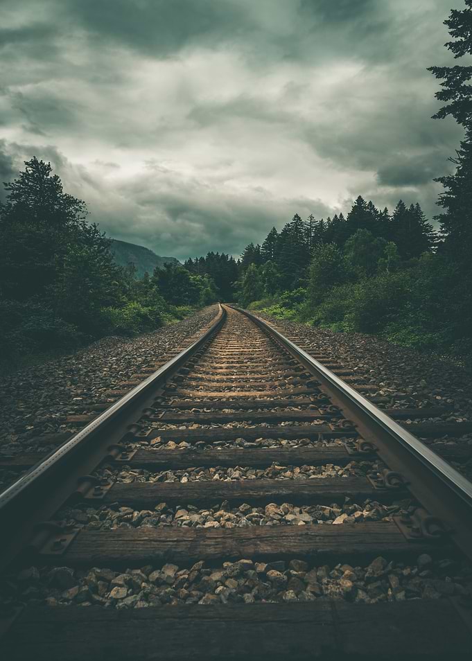 Moody forest train tracks