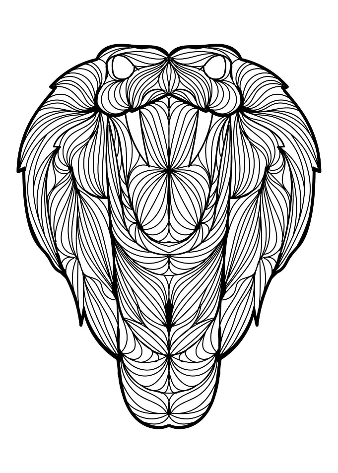 King Cobra