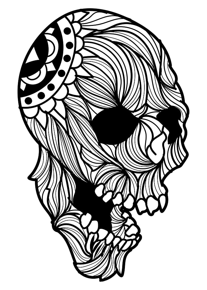 Skull