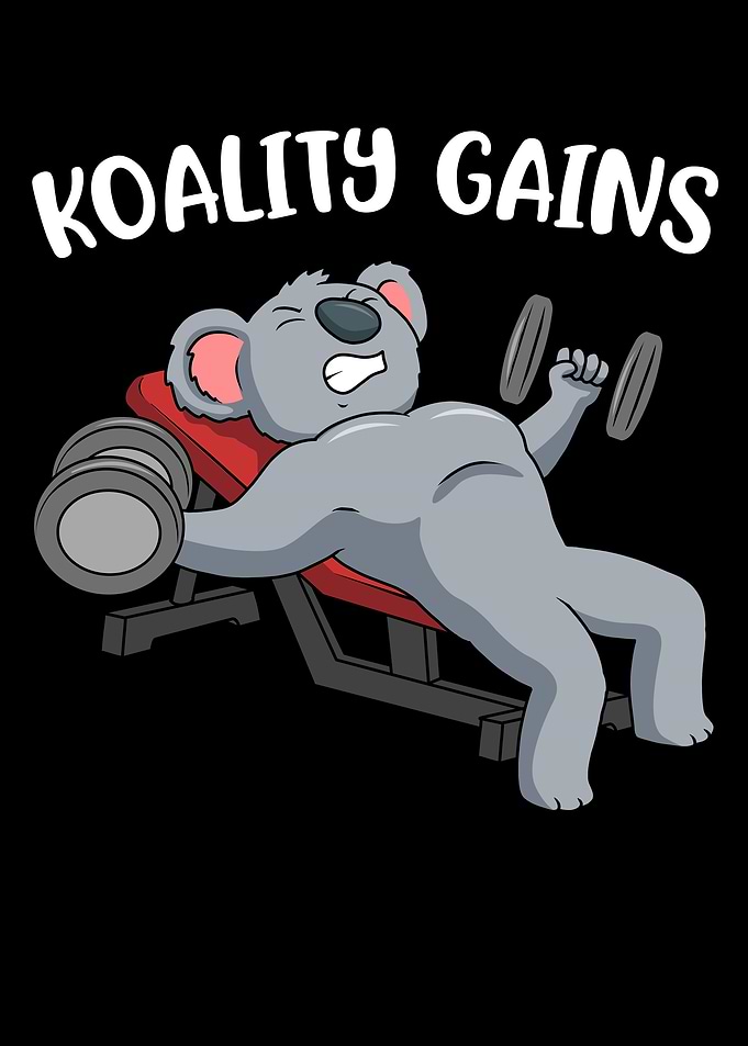 Koality Gains