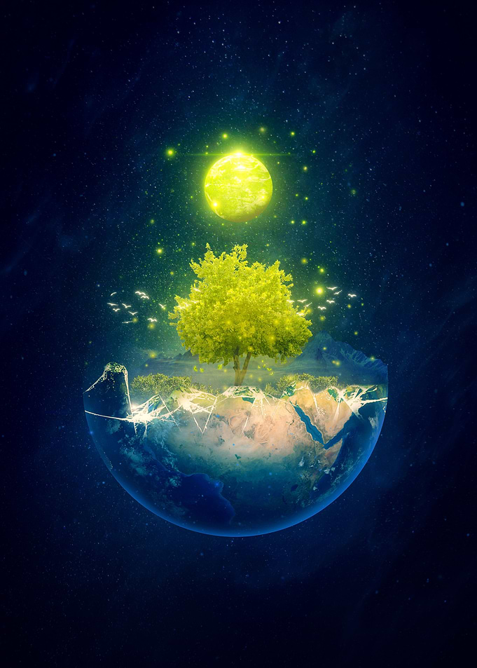 Life Tree Poster