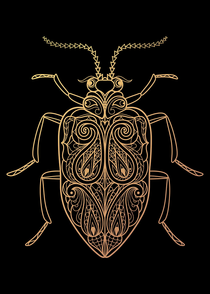 Bee
