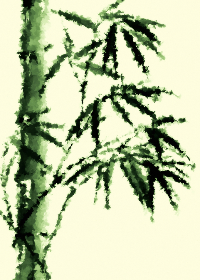 Young bamboo 2