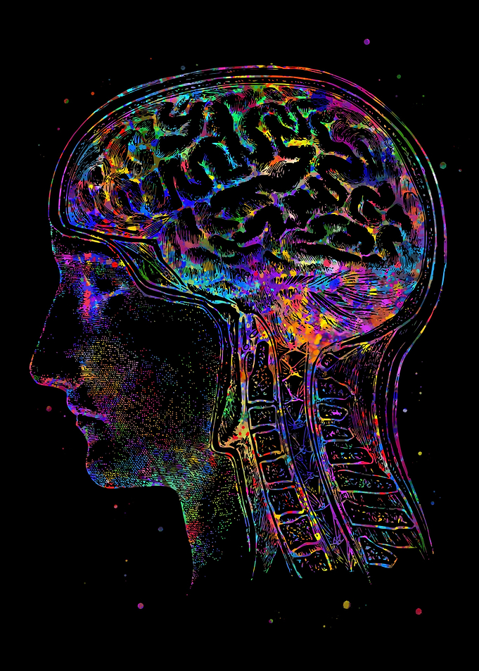 Brain