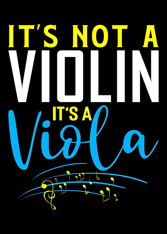 Funny Violinist Music Gift