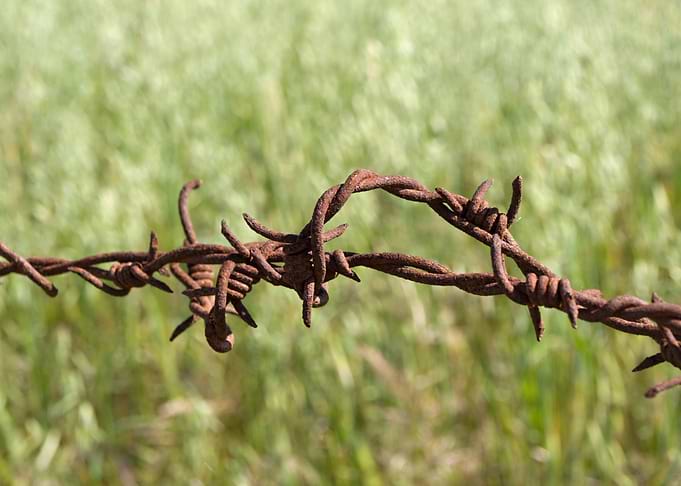 Barbed Wire