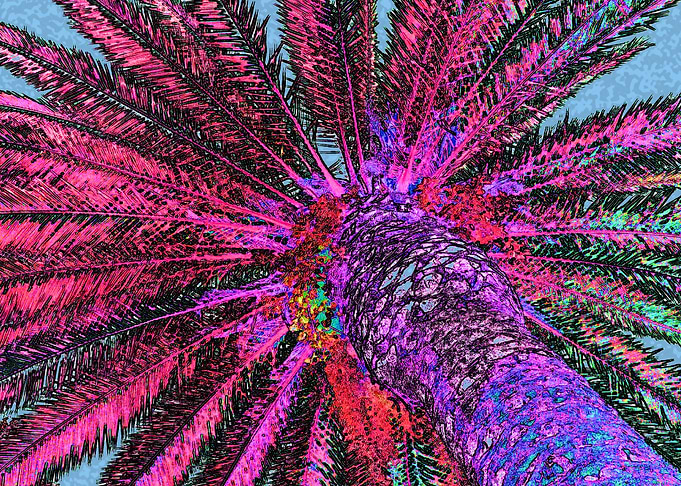 Palm Tree Pop Art