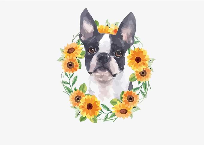 Be My Boston