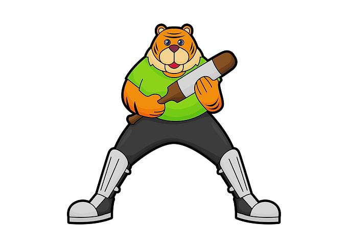 Tiger Cricket Cricket bat
