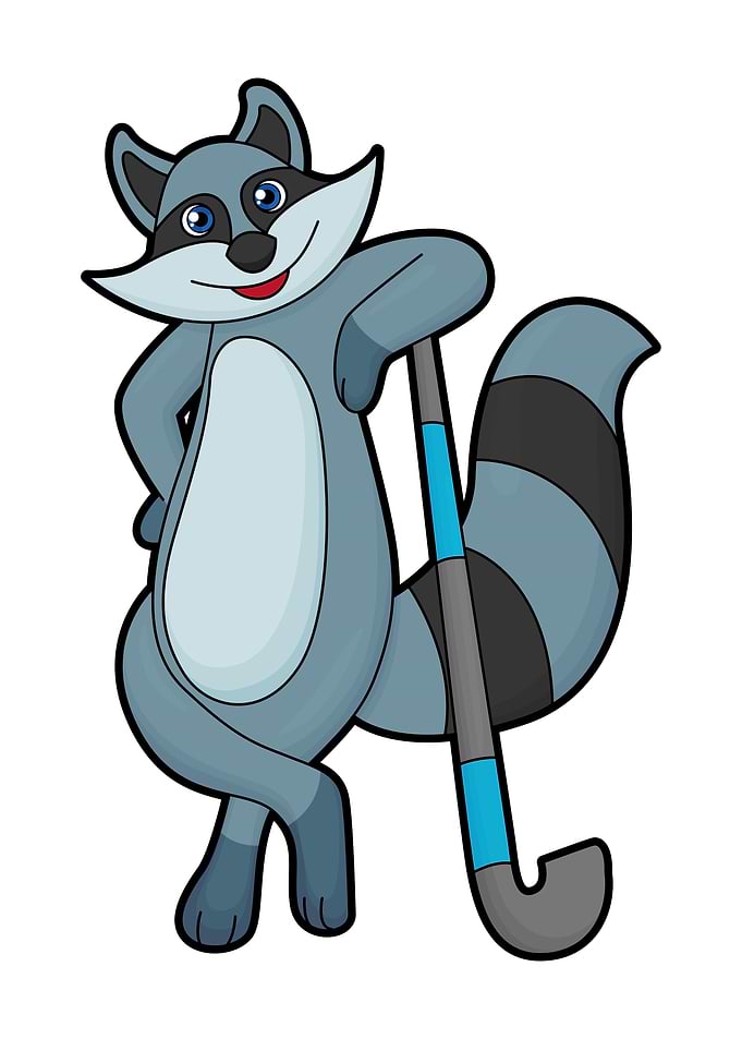 Racoon Hockey Hockey stick