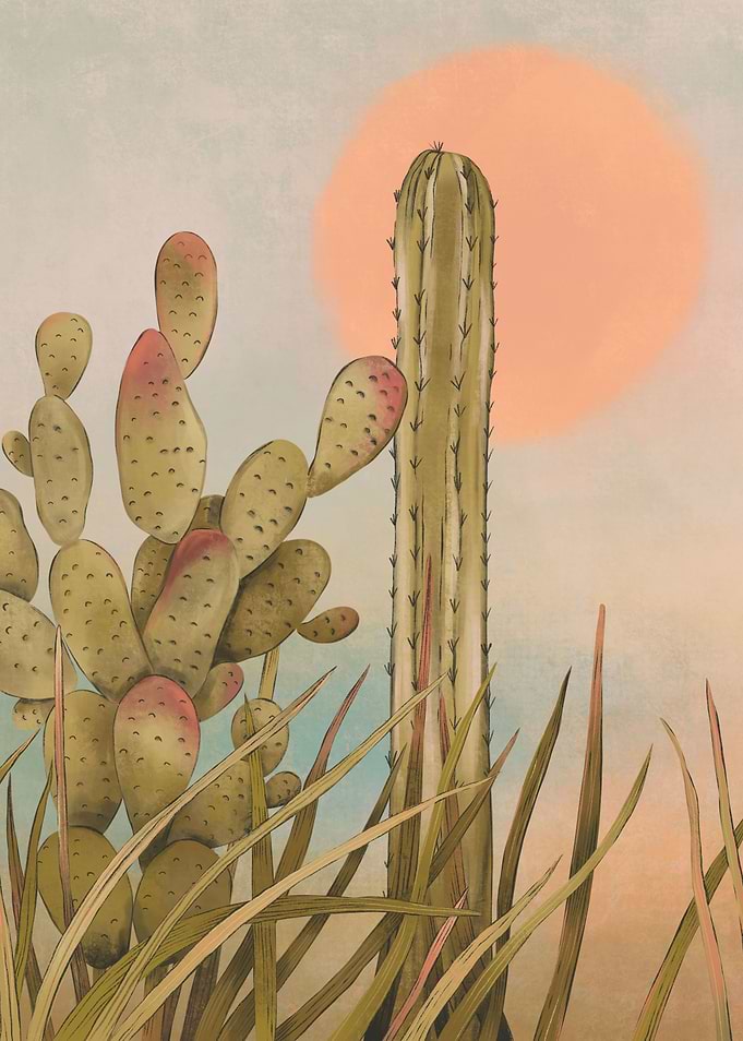 Cactus