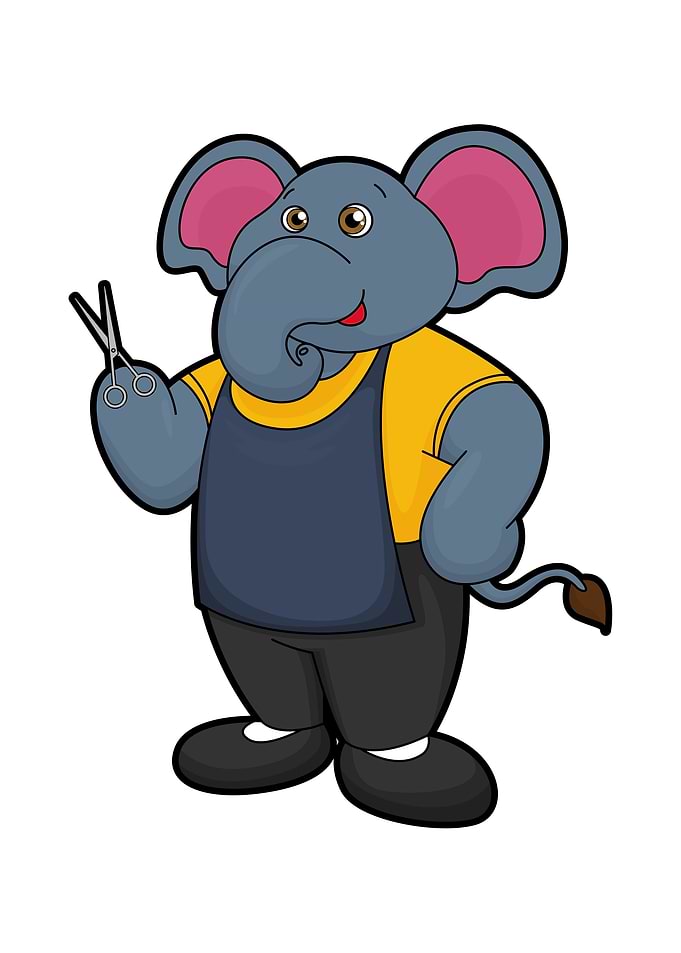 Elephant Hairdresser