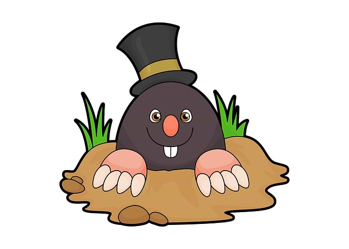 Mole Mole hills